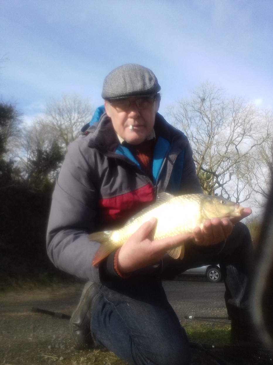 Alf_carp_2 Alf_carp_2