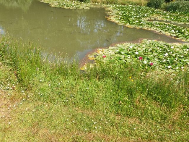20180705_151822 20180705_151822