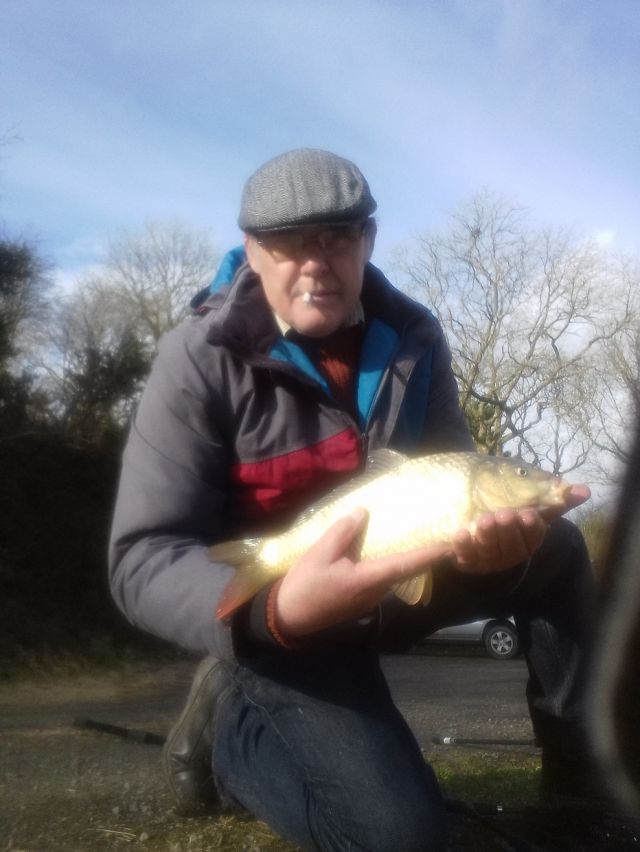 Alf_carp_2 Alf_carp_2