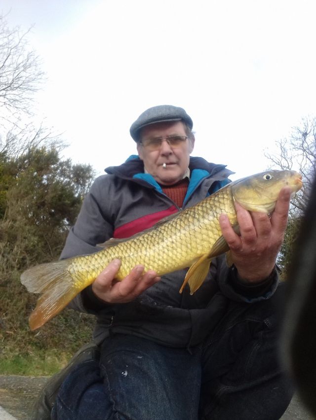 Alf_large_carp Alf_large_carp