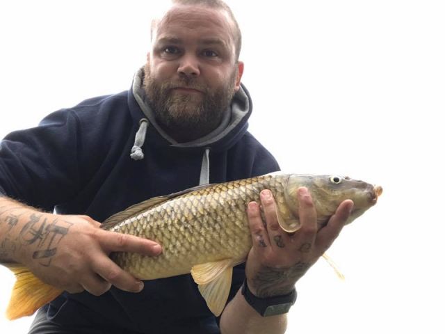 Big_Rich_carp_17 Big_Rich_carp_17