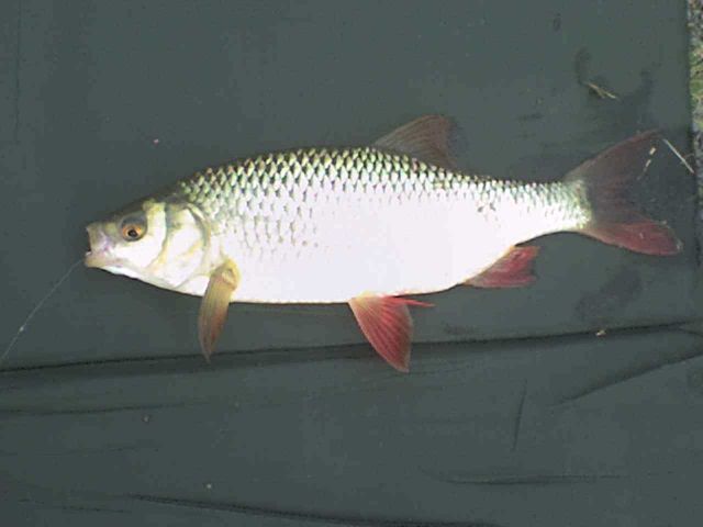 DSC00200 DSC00200