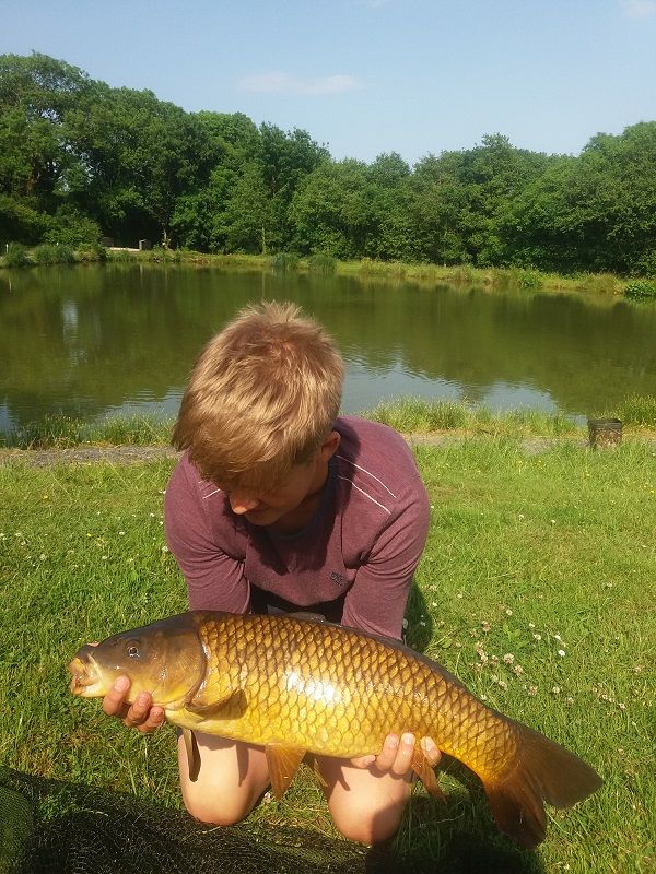 carp_June_18 carp_June_18