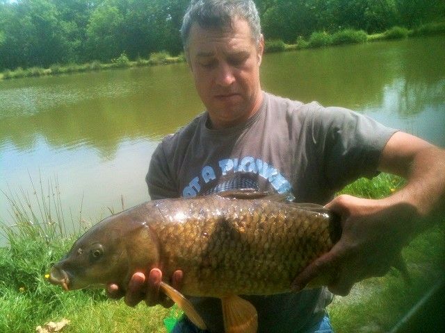 carp_june_15 carp_june_15