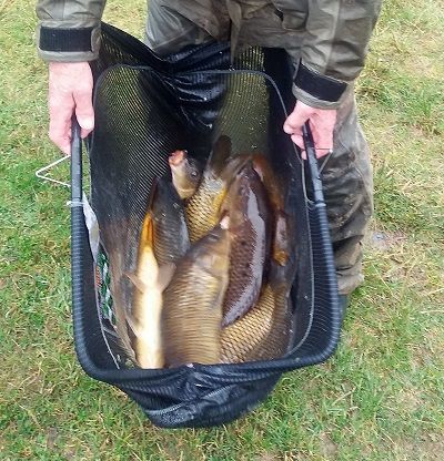 sunday_1st_april_match sunday_1st_april_match