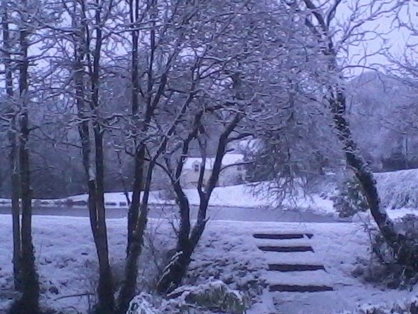 winter_pic winter_pic
