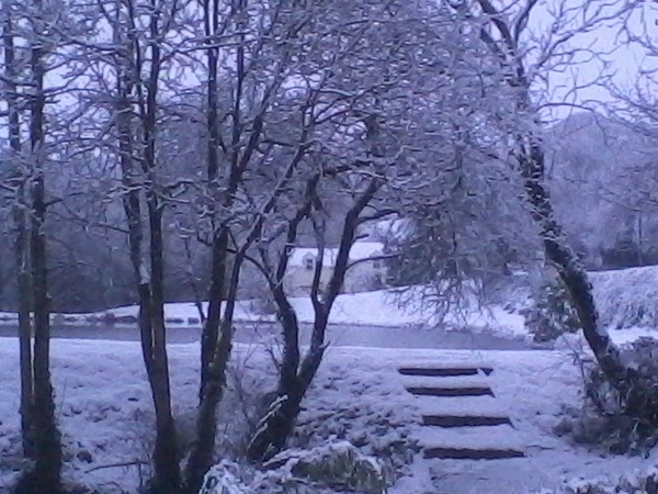 winter_pic winter_pic